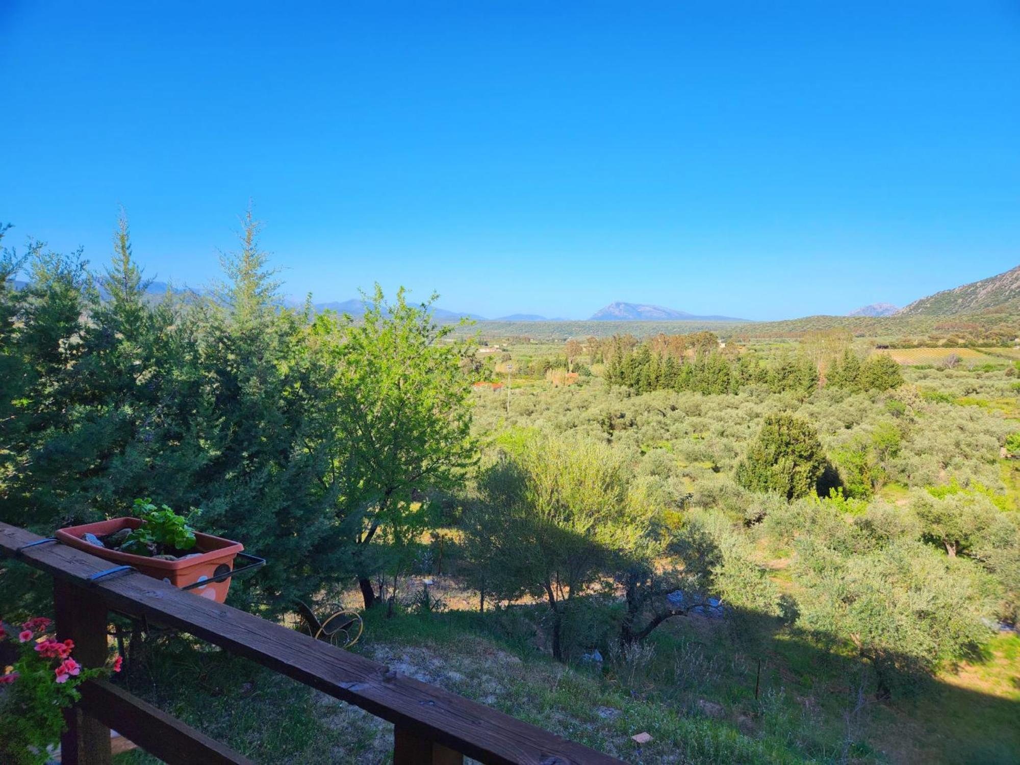 奥列纳Panoramic House别墅 外观 照片