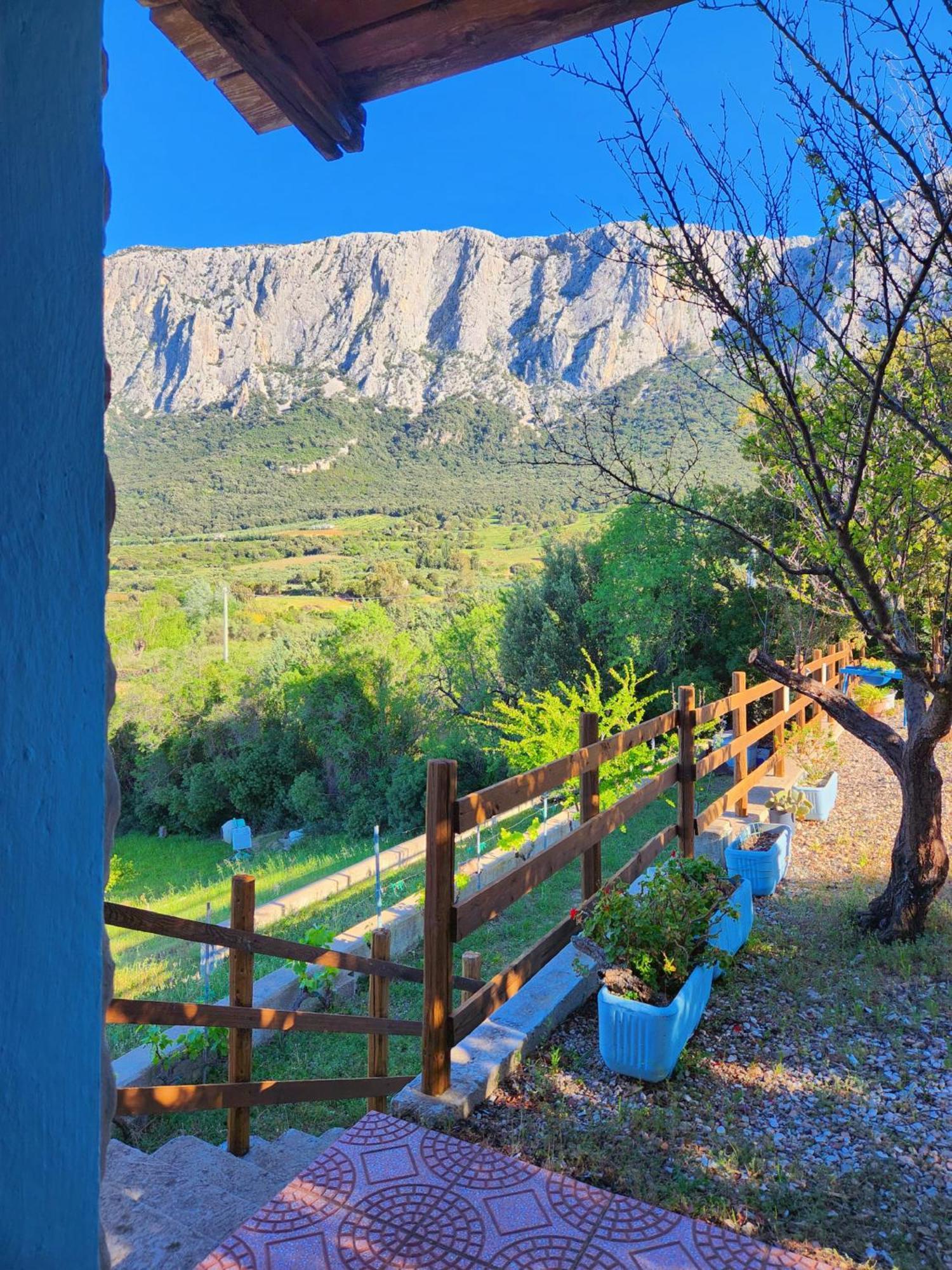 奥列纳Panoramic House别墅 外观 照片